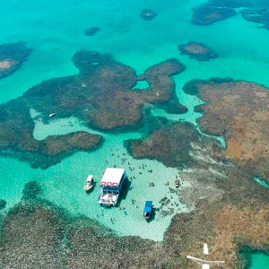 Passeio para picãozinho